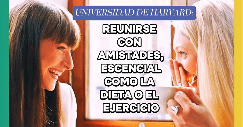 Charlar, caminar y salir   a comer, tan bueno como la dieta o el&nbsp;ejercicio