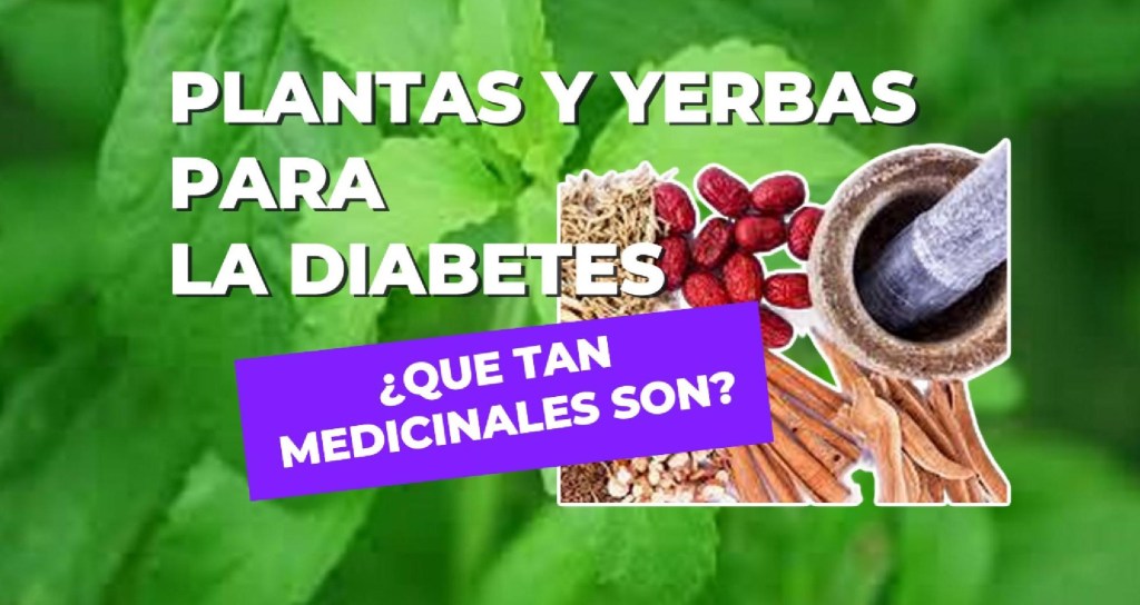 Tratamiento de la Diabetes con Plantas y Yierbas: ¿Qué Dice la&nbsp;Ciencia?